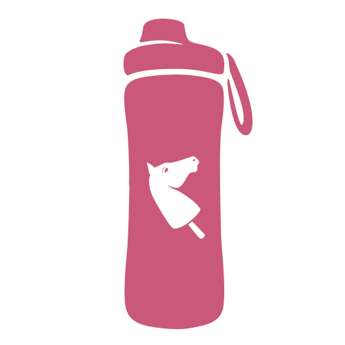A pink water bottle with a strap, featuring a white graphic of a popsicle with a horse’s head on the front.