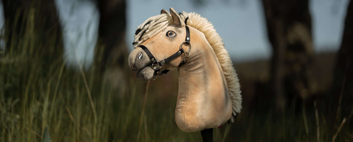 Kantary Hobby Horse