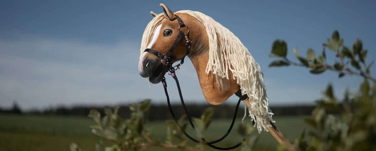 Wodze Hobby Horse