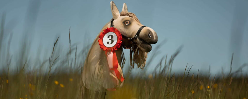 A Hobby Horse with a braided mane and a red and white prize ribbon marked with the number 3 stands in tall grass under a clear blue sky, ready for a day of hobby horsing fun.