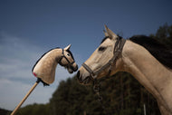 Prawdziwy koń w kantarze dotyka się nosami na zewnątrz z beżowym Hobby Horse LarDen „Hobby Horse na podstawie Twojego zdjęcia”; w tle widać drzewa i błękitne niebo.