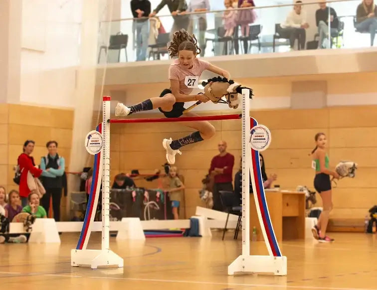 Dyscypliny w Hobby Horsing