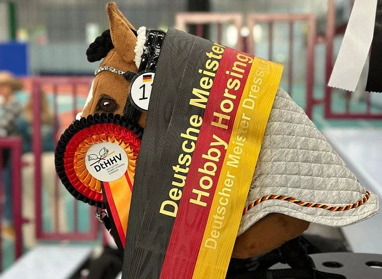 Sport, który zdobywa popularność: Hobby Horsing