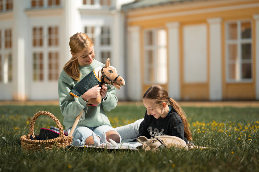 Jak dbać o Hobby Horse