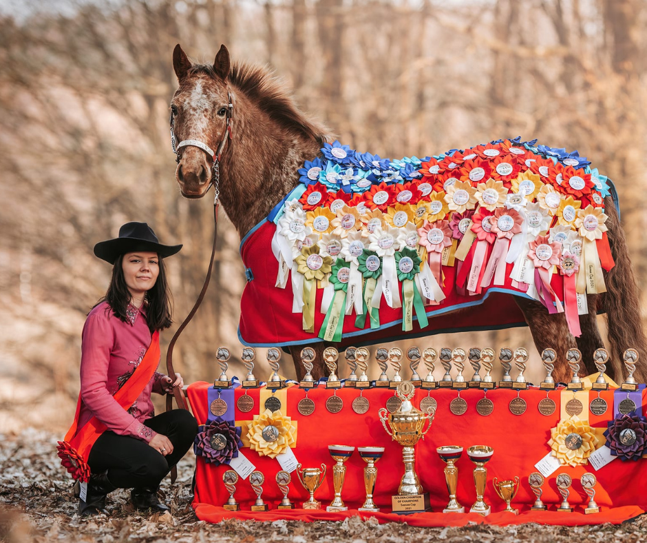 Kaja kneels beside a chestnut horse in a leaf-covered woodland, wearing a black wide-brim hat, pink shirt, black trousers and a red sash while holding the lead rope. The horse is draped in a red blanket covered with colorful rosettes, with rows of medals