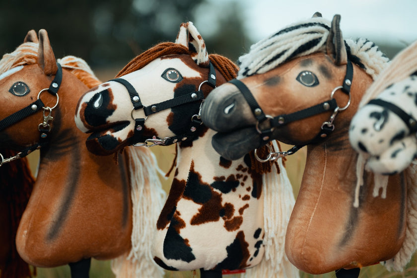 US Hobby Horse Championships 2026: największe wydarzenie Hobby Horse w Ameryce coraz bliżej