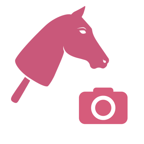 Hobby Horse według Twojego zdjęcia