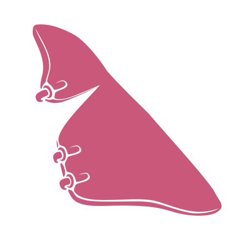 Minimalistyczna ilustracja różowej dłoni układającej literę B w amerykańskim języku migowym na jasnoszarym tle.