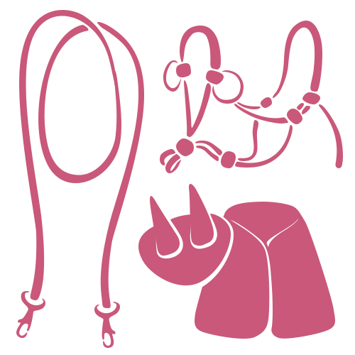 A pink illustration of costume accessories: a lasso, a horse bridle, a pair of bull horns, and a cape, all on a light background.