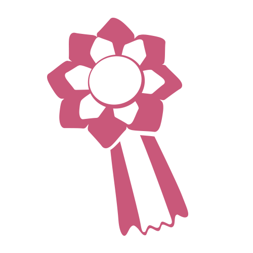 Wstążki na Pokazy Hobby Horse