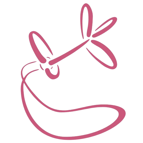 Ogłowia i Nachrapniki do Hobby Horse