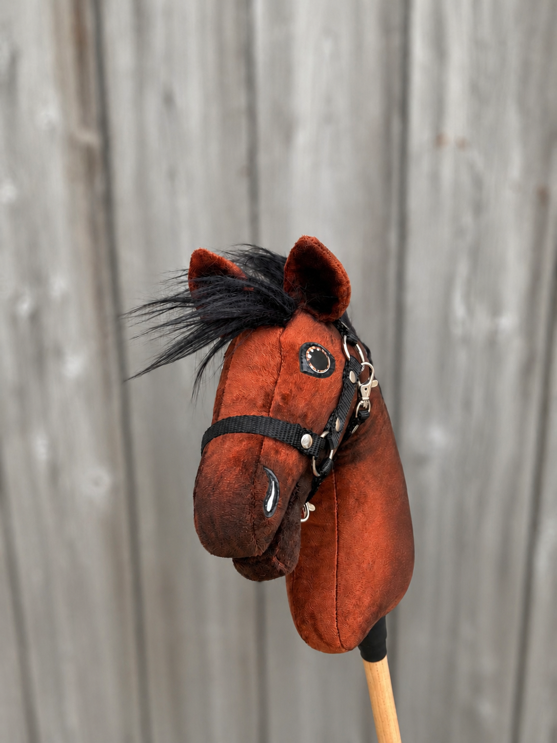 Hobby Horse Benny z Czarnym Kantarem - rozmiar XS