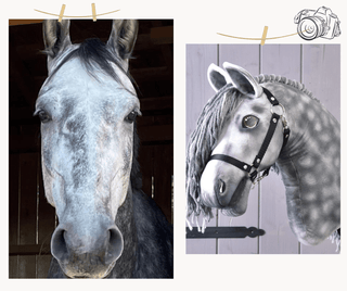Hobby Horse na podstawie Twojego zdjęcia