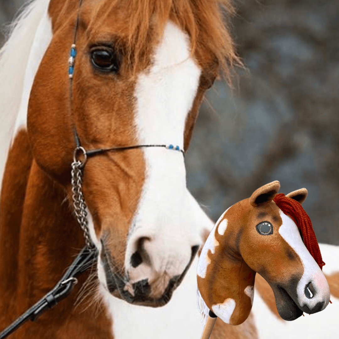 Hobby Horse based on your photo