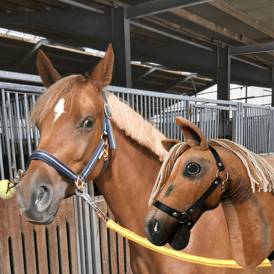 A light brown horse with a halter stands next to a personalized Hobby Horse based on your photo by Hobby Horse LarDen, both matching in color and mane, inside a stable with metal railings and a wooden ceiling.