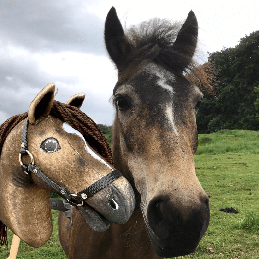 A real brown horse stands beside a custom "Hobby Horse based on your photo" by Hobby Horse LarDen, both facing the camera in a grassy field beneath a cloudy sky.