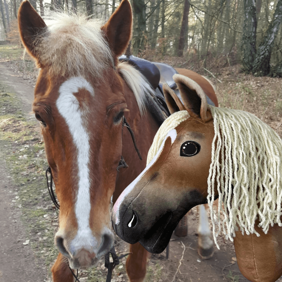 Hobby Horse based on your photo