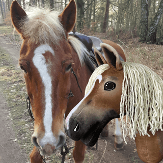 Hobby Horse na podstawie Twojego zdjęcia