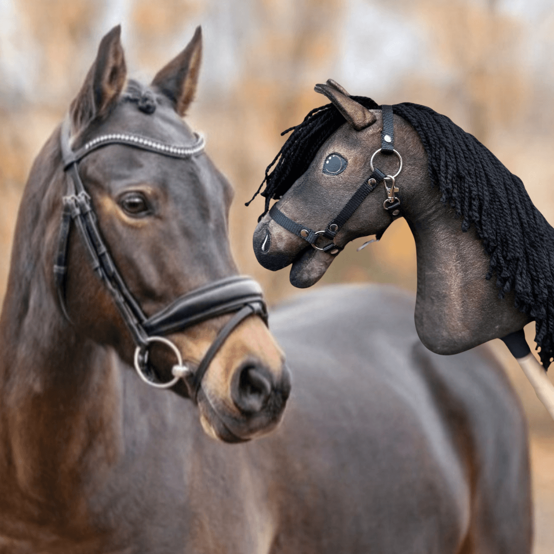 A real brown horse with a bridle stands beside a custom Hobby Horse LarDen "Hobby Horse based on your photo," featuring a black yarn mane and button eyes, both facing each other outdoors.