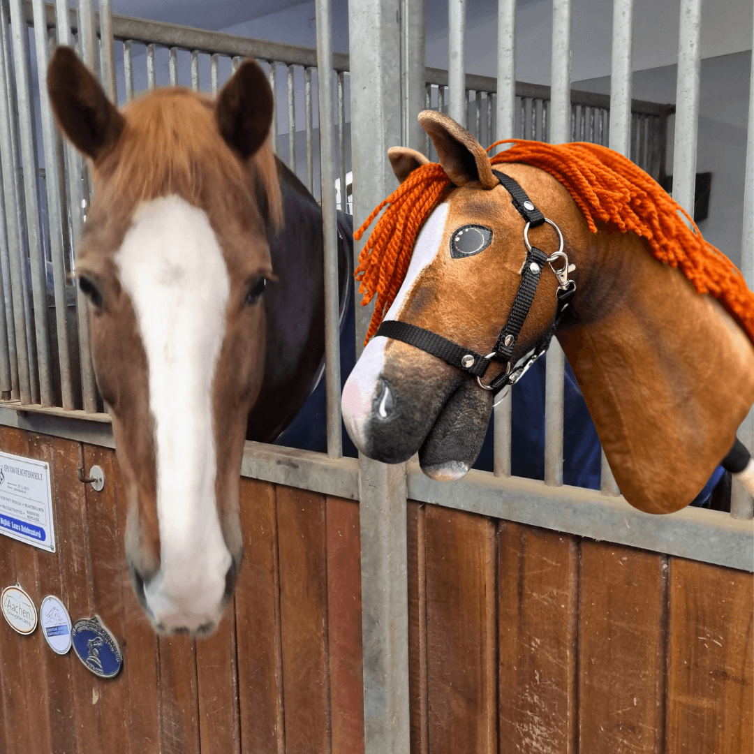 A brown horse with a white blaze stands in a stall next to a custom Hobby Horse LarDen "Hobby Horse based on your photo" featuring orange yarn hair, both looking forward over a wooden stable door.