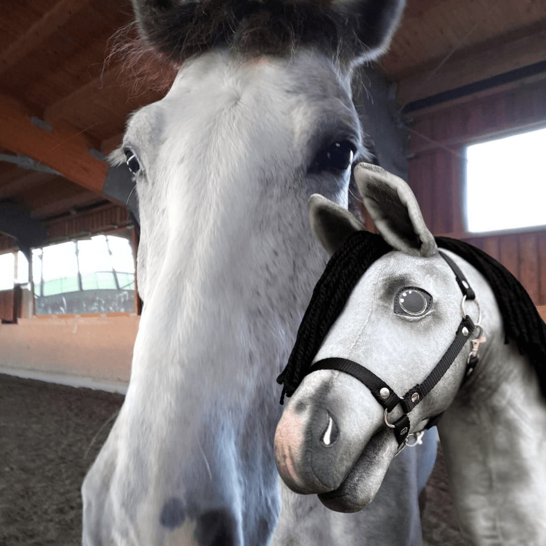 A white horse indoors stands next to a custom Hobby Horse LarDen "Hobby Horse based on your photo," both with similar coloring and black bridles, facing the camera.