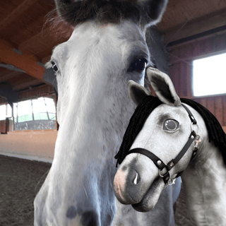 Hobby Horse na podstawie Twojego zdjęcia