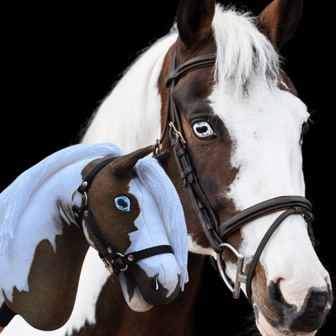 A real horse with a black and white face stands beside a custom Hobby Horse LarDen "Hobby Horse based on your photo" toy, both in bridles, set against a black background.