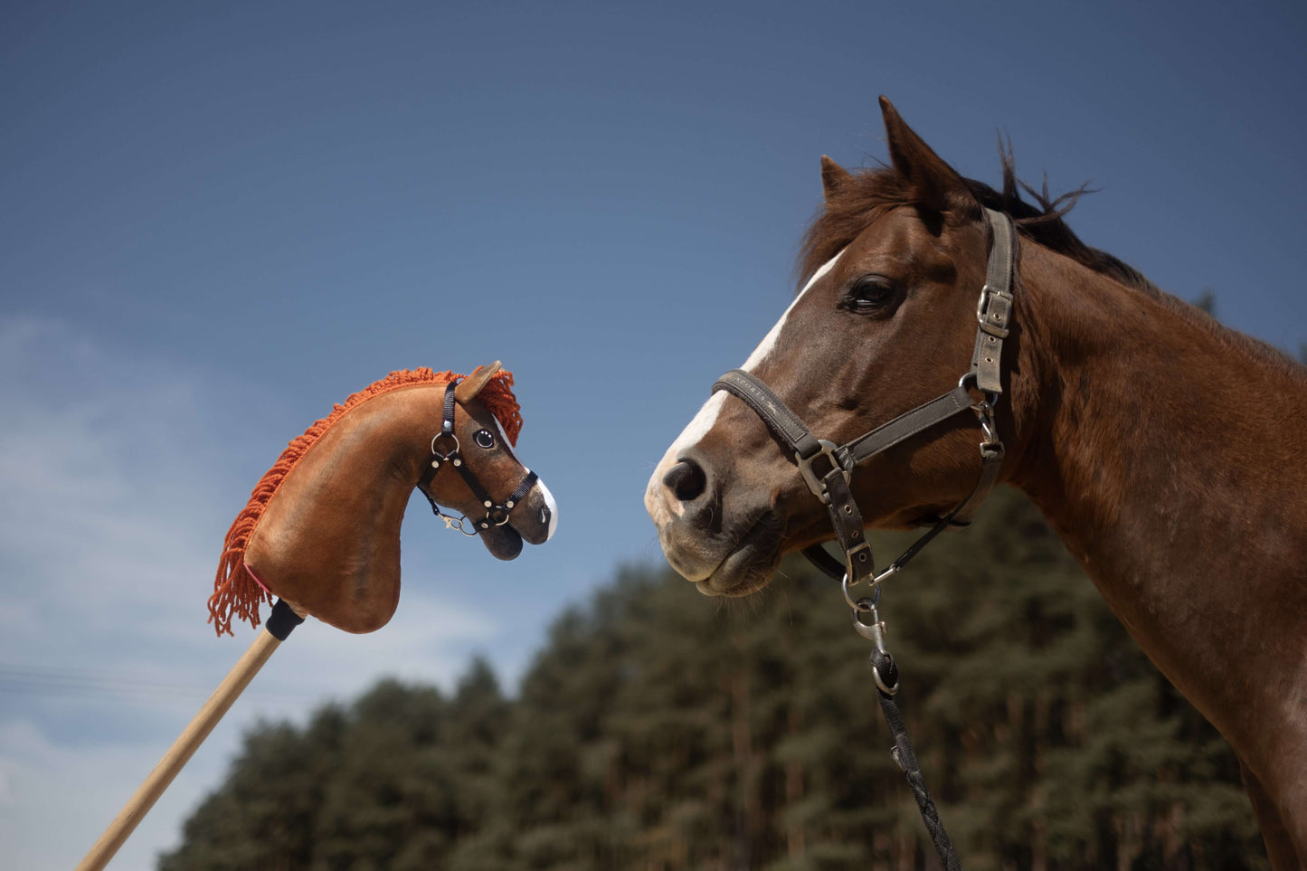 A real brown horse in a halter faces a Hobby Horse LarDen "Hobby Horse based on your photo" on a stick, with blue sky and trees in the background.
