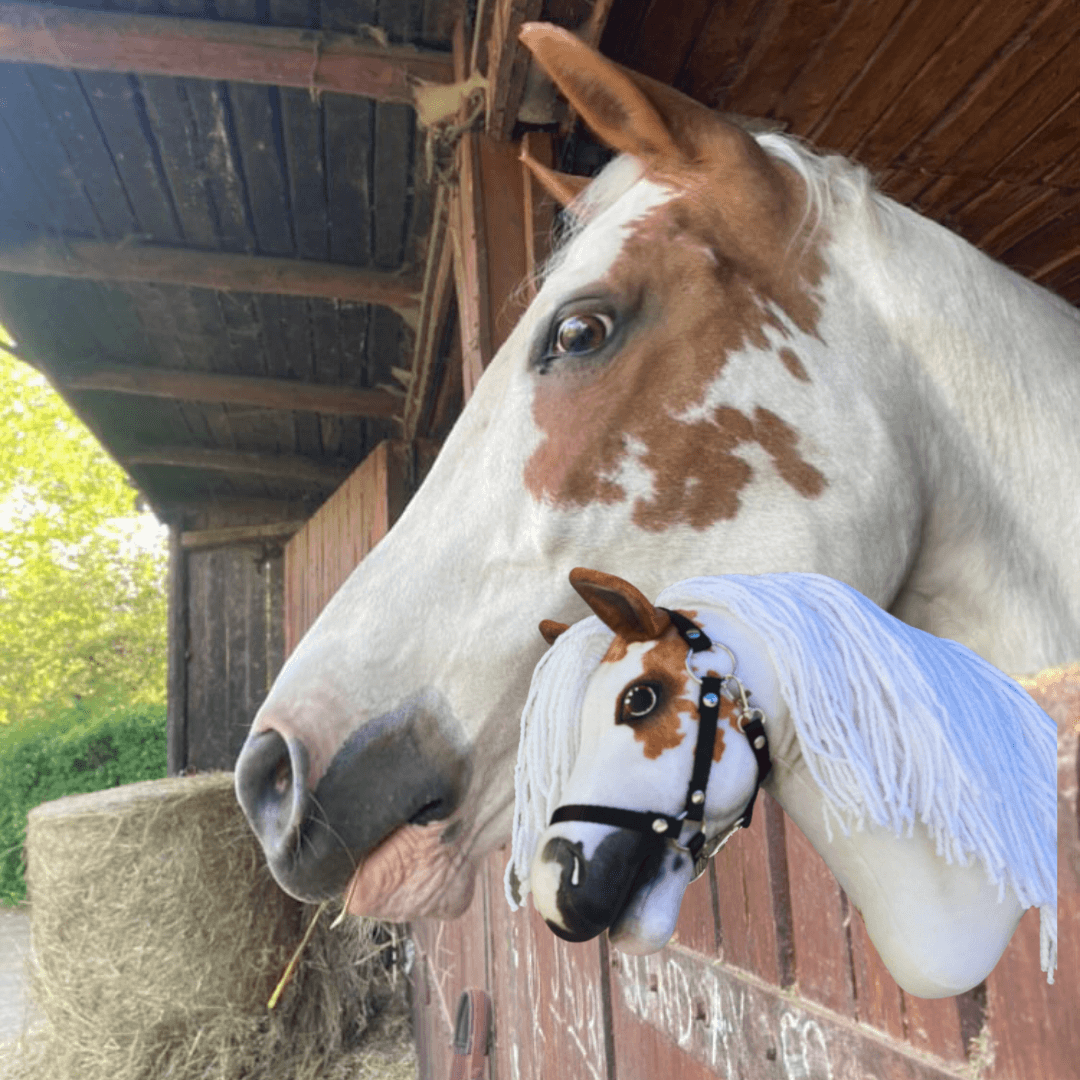 A white and brown horse with a braided mane looks out from a wooden stable. In front of it is a custom Hobby Horse LarDen "Hobby Horse based on your photo" that closely resembles the real horse.
