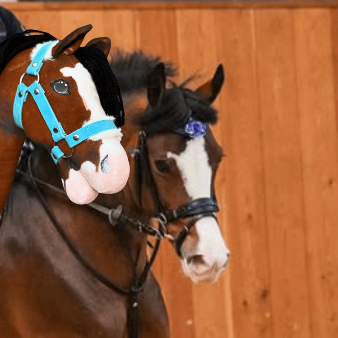 Two Hobby Horse LarDen "Hobby Horse based on your photo" toys with brown and white coloring, blue and black bridles, and black manes stand indoors by a wooden wall. One is personalized with a blue flower in its mane.