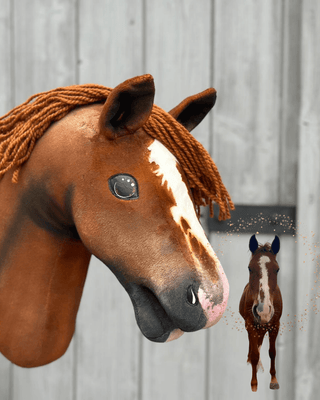 Hobby Horse na podstawie Twojego zdjęcia