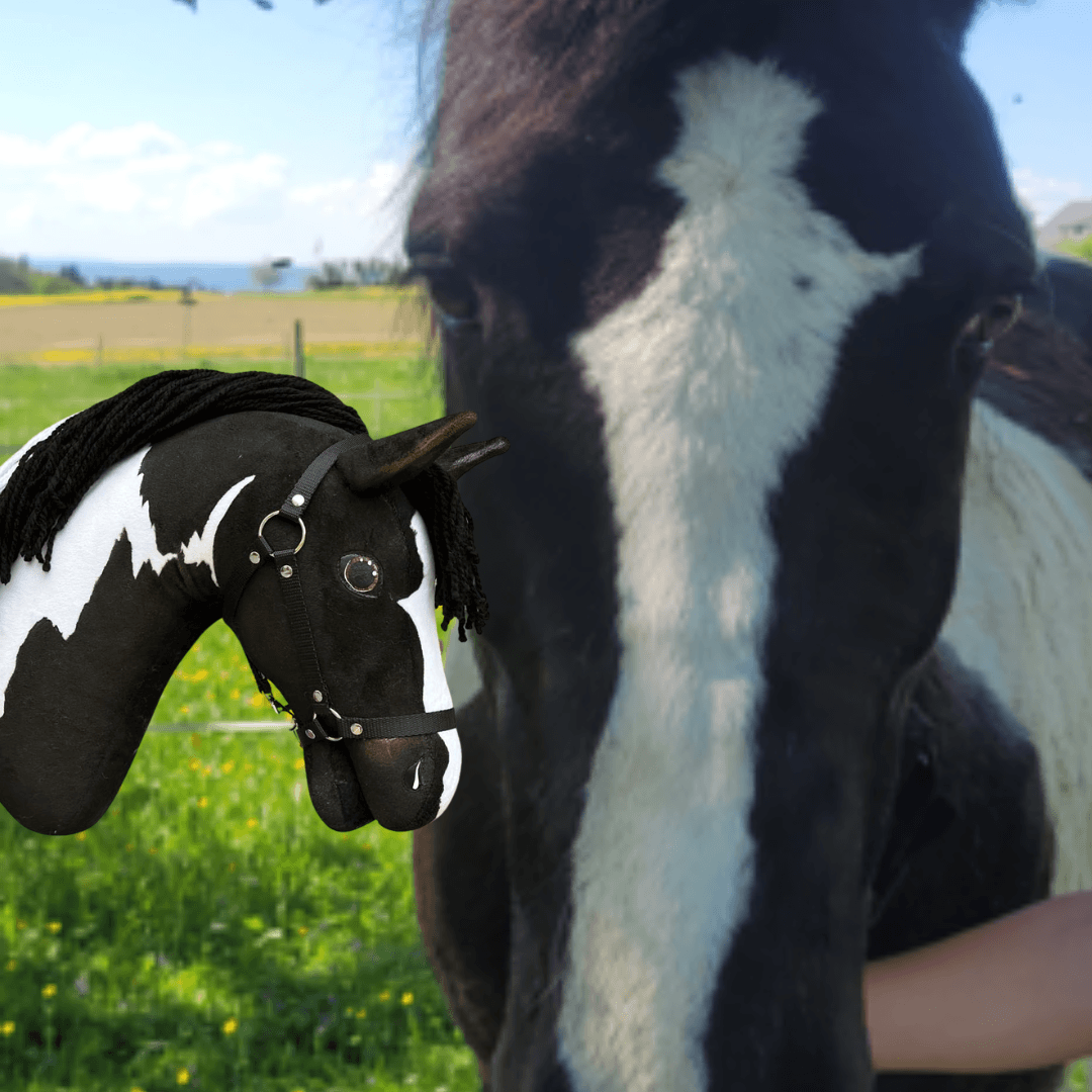 A close-up of a black and white horse with a Hobby Horse LarDen "Hobby Horse based on your photo" in the foreground, both outdoors in a grassy field under a blue sky.