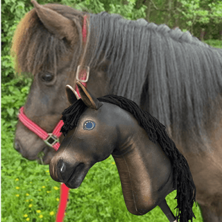 Hobby Horse na podstawie Twojego zdjęcia