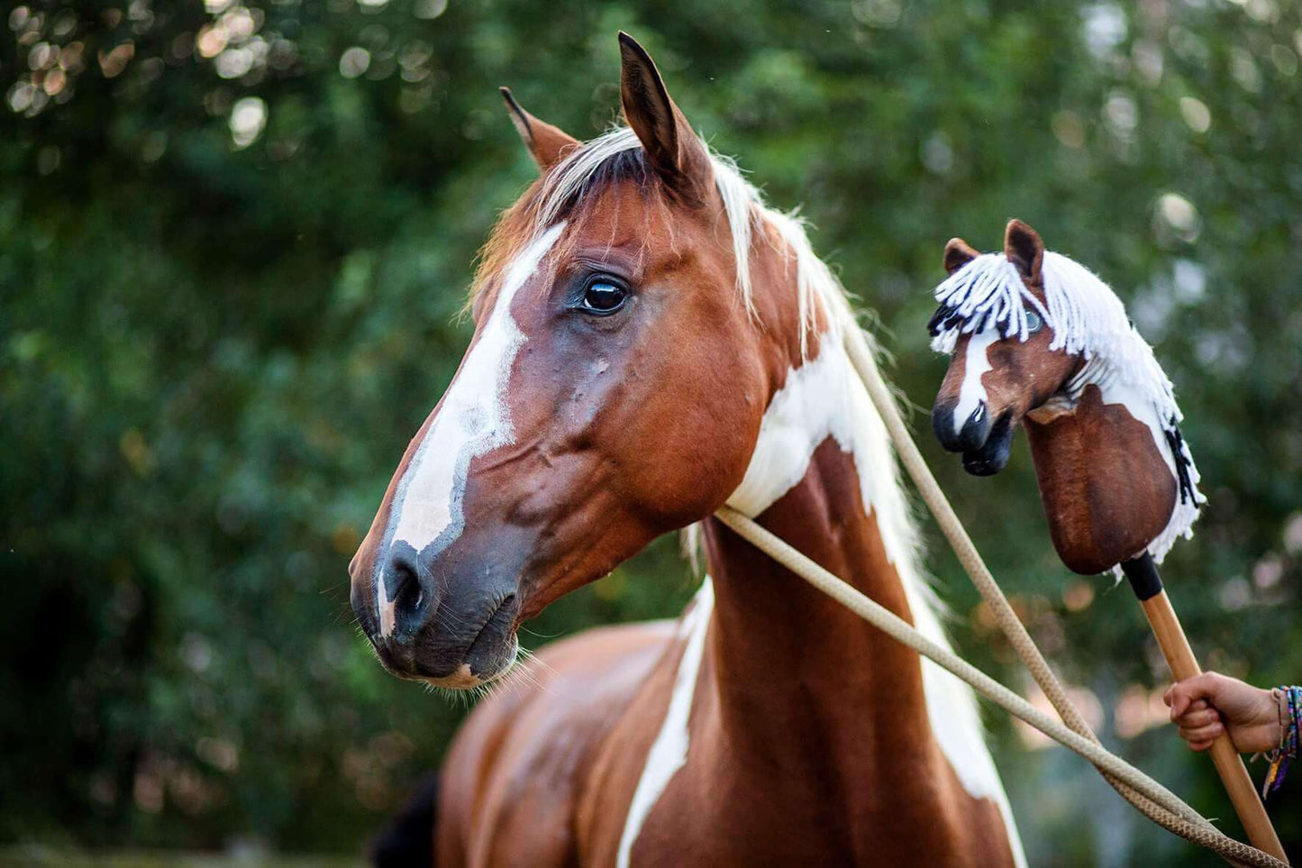 A person holds a "Hobby Horse based on your photo" by Hobby Horse LarDen beside a brown and white horse with a rope halter. Both stand before green, blurred foliage. The custom hobby horse closely resembles the real one.
