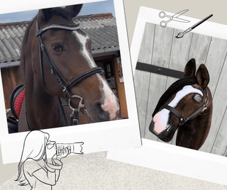 Hobby Horse na podstawie Twojego zdjęcia