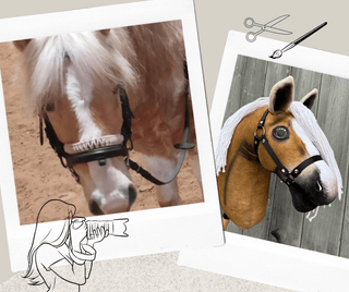 Hobby Horse na podstawie Twojego zdjęcia