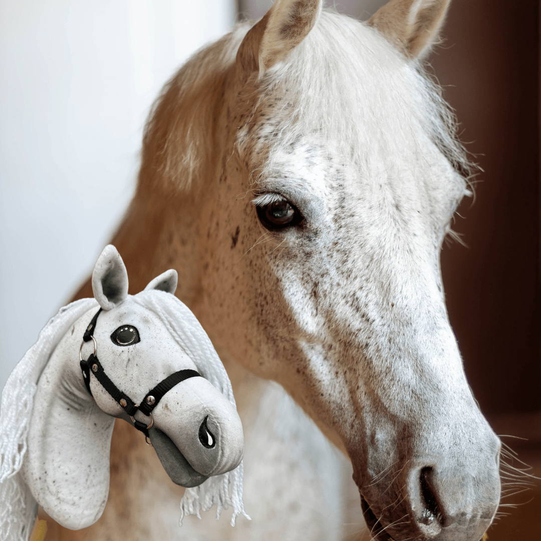 A close-up of a white speckled horse beside a personalized Hobby Horse LarDen "Hobby Horse based on your photo" toy, featuring a black bridle and yarn mane.