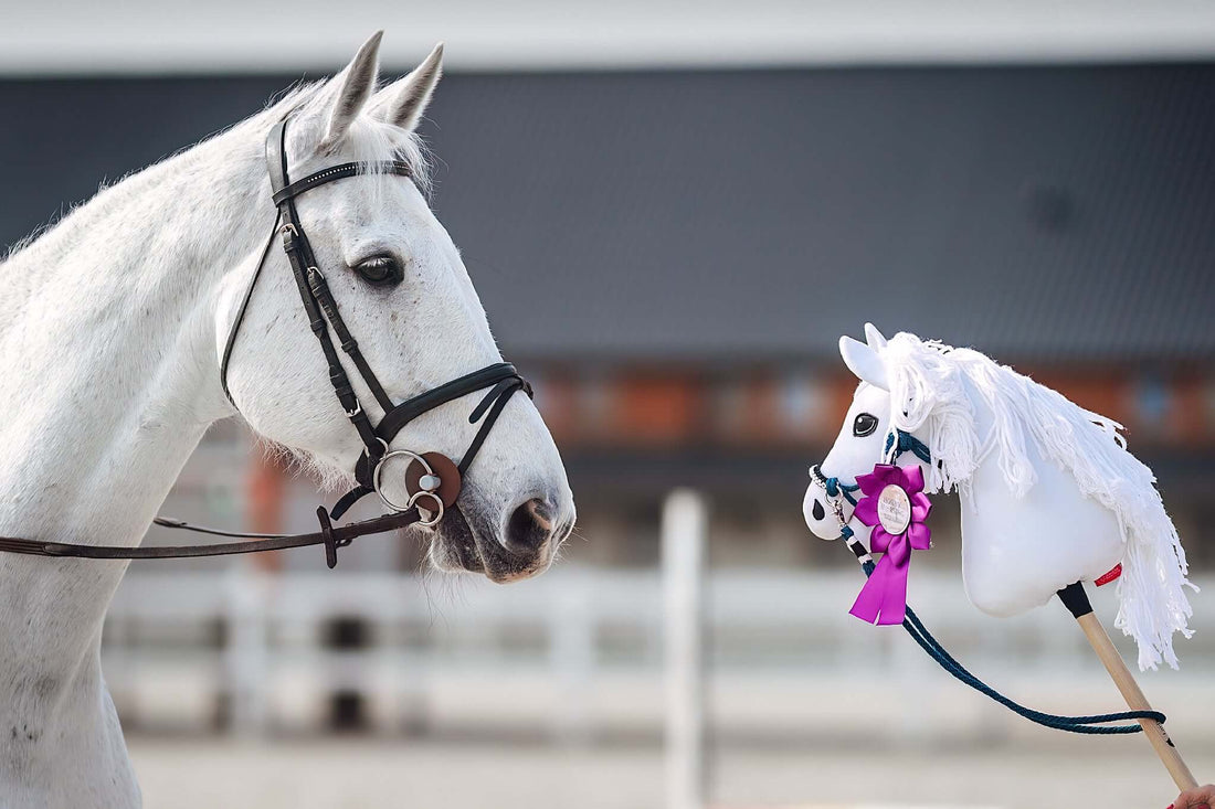 Hobby Horse na podstawie Twojego zdjęcia