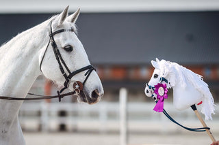 Hobby Horse na podstawie Twojego zdjęcia