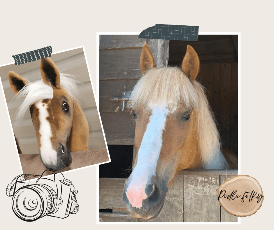 Two photos of a palomino horse with a white mane, plus decorative tape, a camera sketch, and "Pony Fotly" text form this collage—perfect inspiration for creating your personalized Hobby Horse based on your photo by Hobby Horse LarDen.