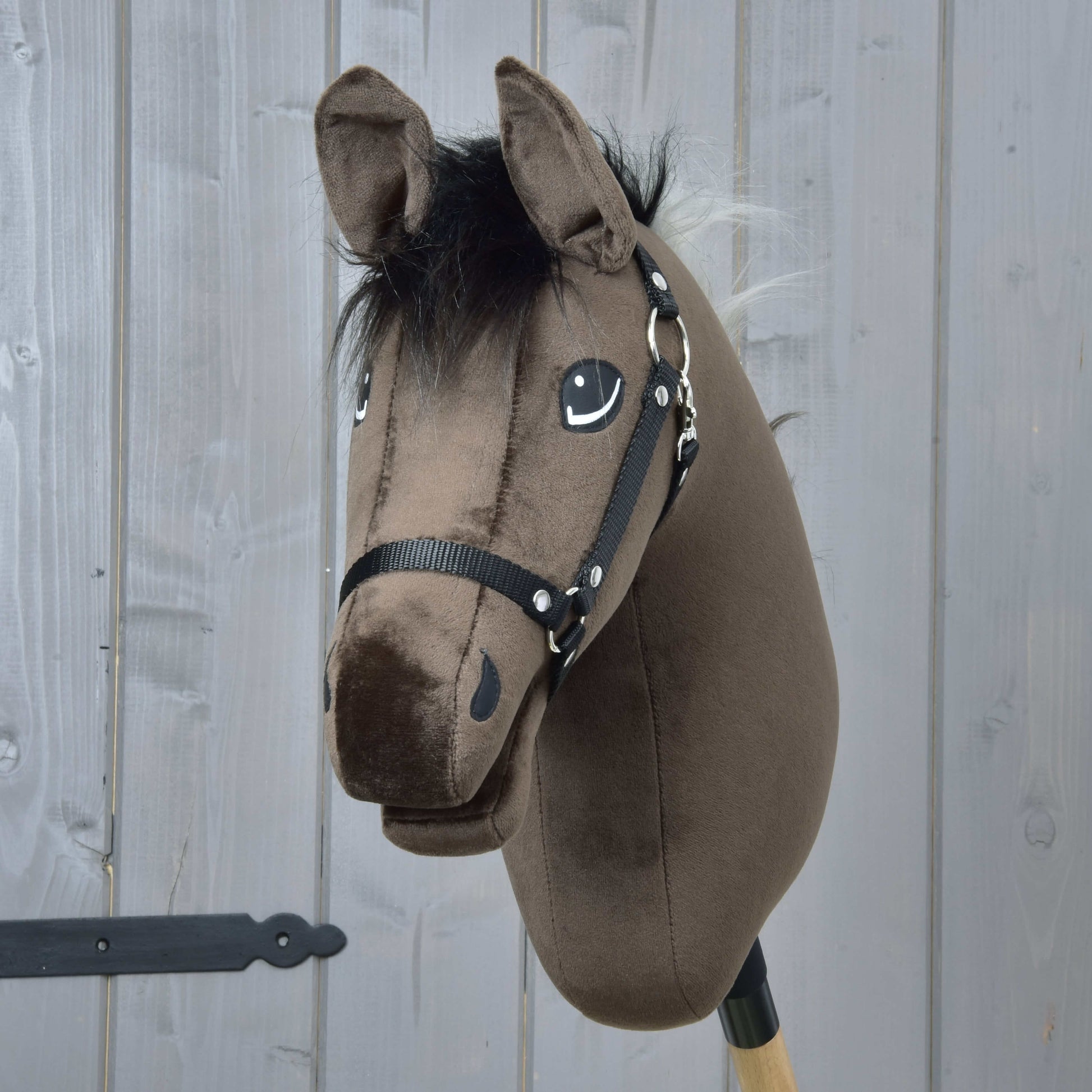 Hobby Horse Alfredo with Black Halter