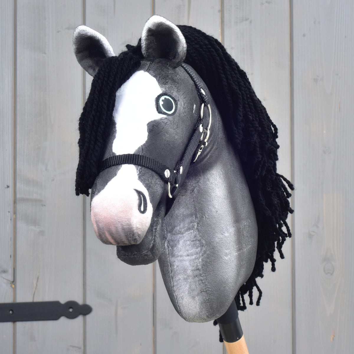 Hobby Horse Clover