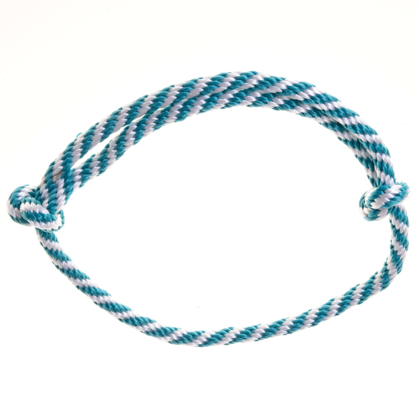 Set Start turqouise (halter, leash, reins, cordeo) 4