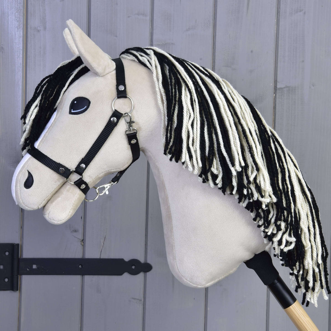 Hobby Horse Aurora z czarnym kantarem