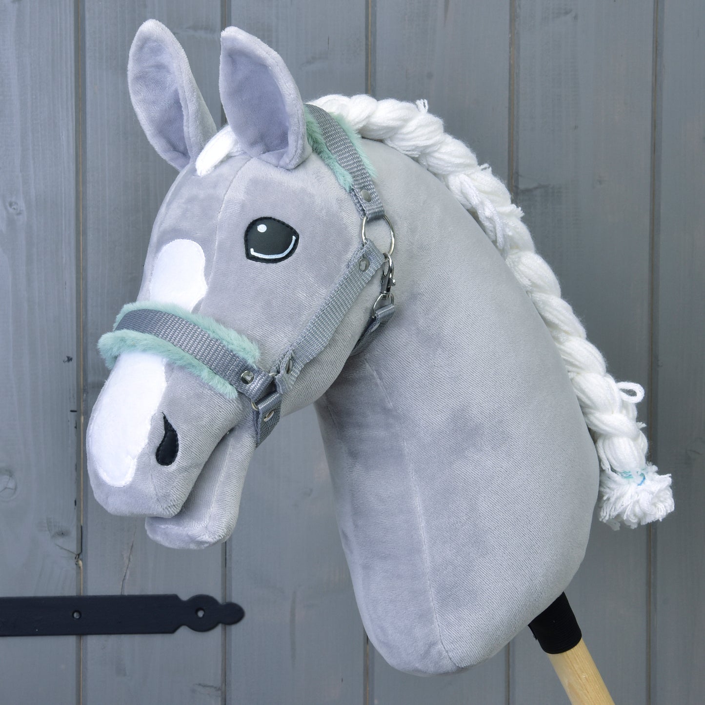 Halter grey with mint fur 1