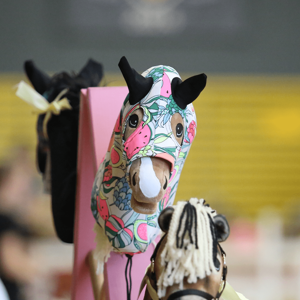 Kombinezon ochronny Hobby Horse Rainbow (Lycra) – Zawsze czysty i zadbany Hobby Horse