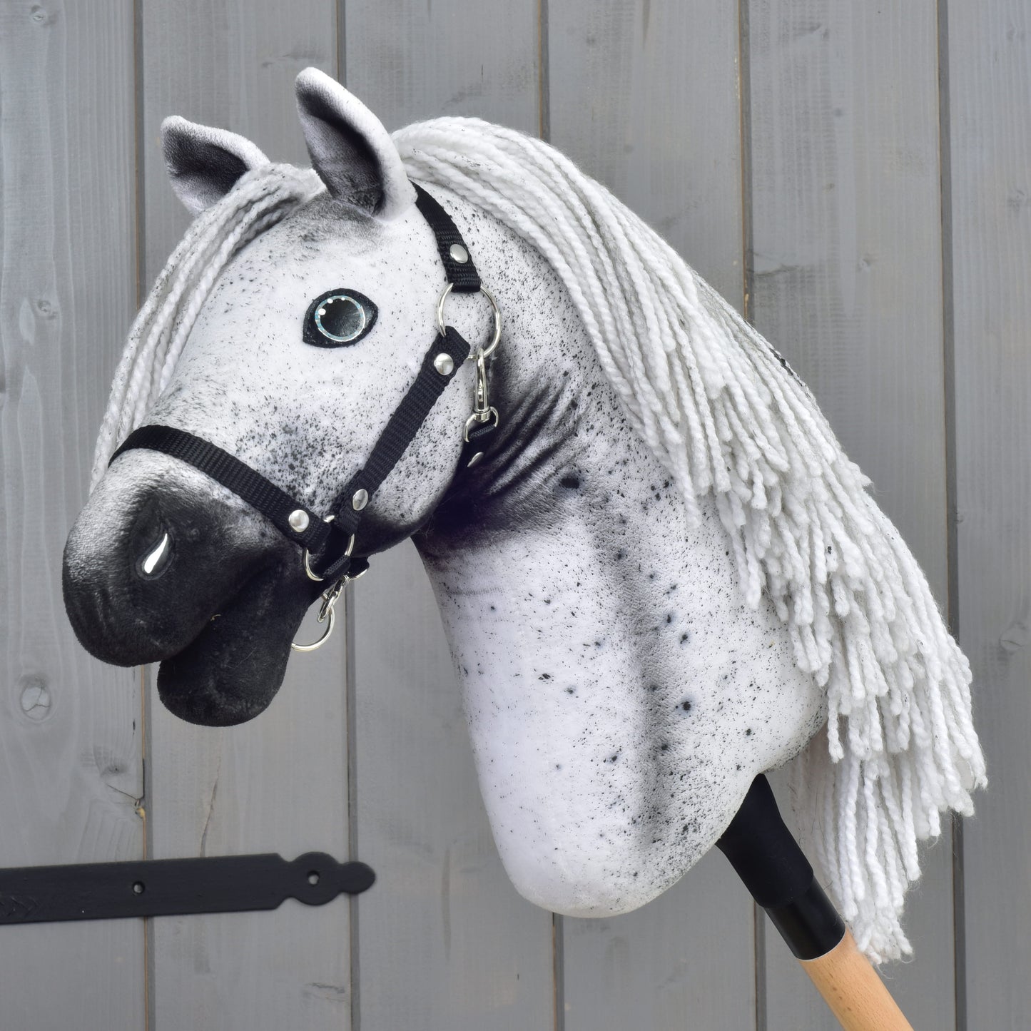 Hobby Horse Naivy z czarnym kantarem - rozmiar S od Hobby Horse LarDen, z szaro-białym umaszczeniem Appaloosa, czarnym kantarem i grzywą z włóczki, osadzony na drewnianym kiju na tle szarej drewnianej ściany.