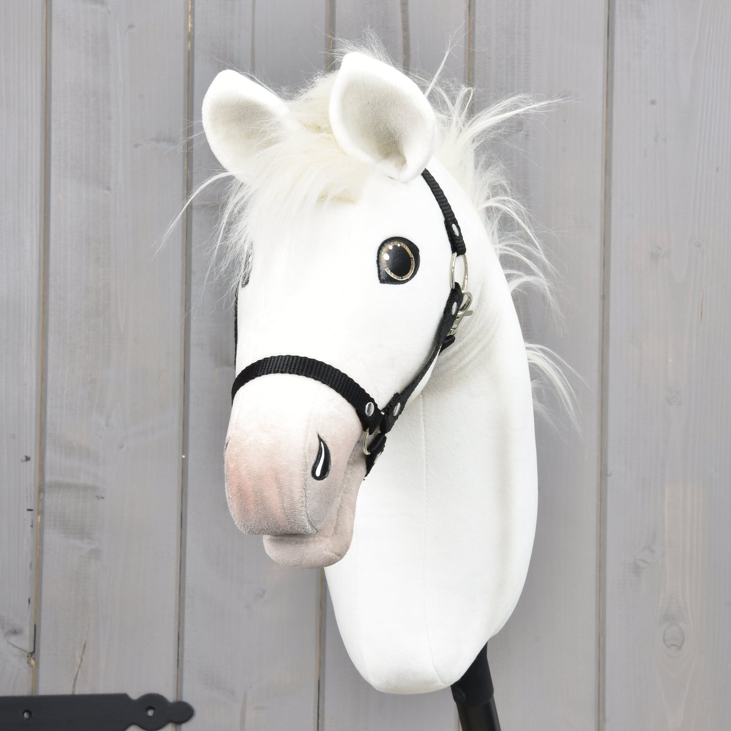 Hobby Horse Nexus z czarnym Kantarem