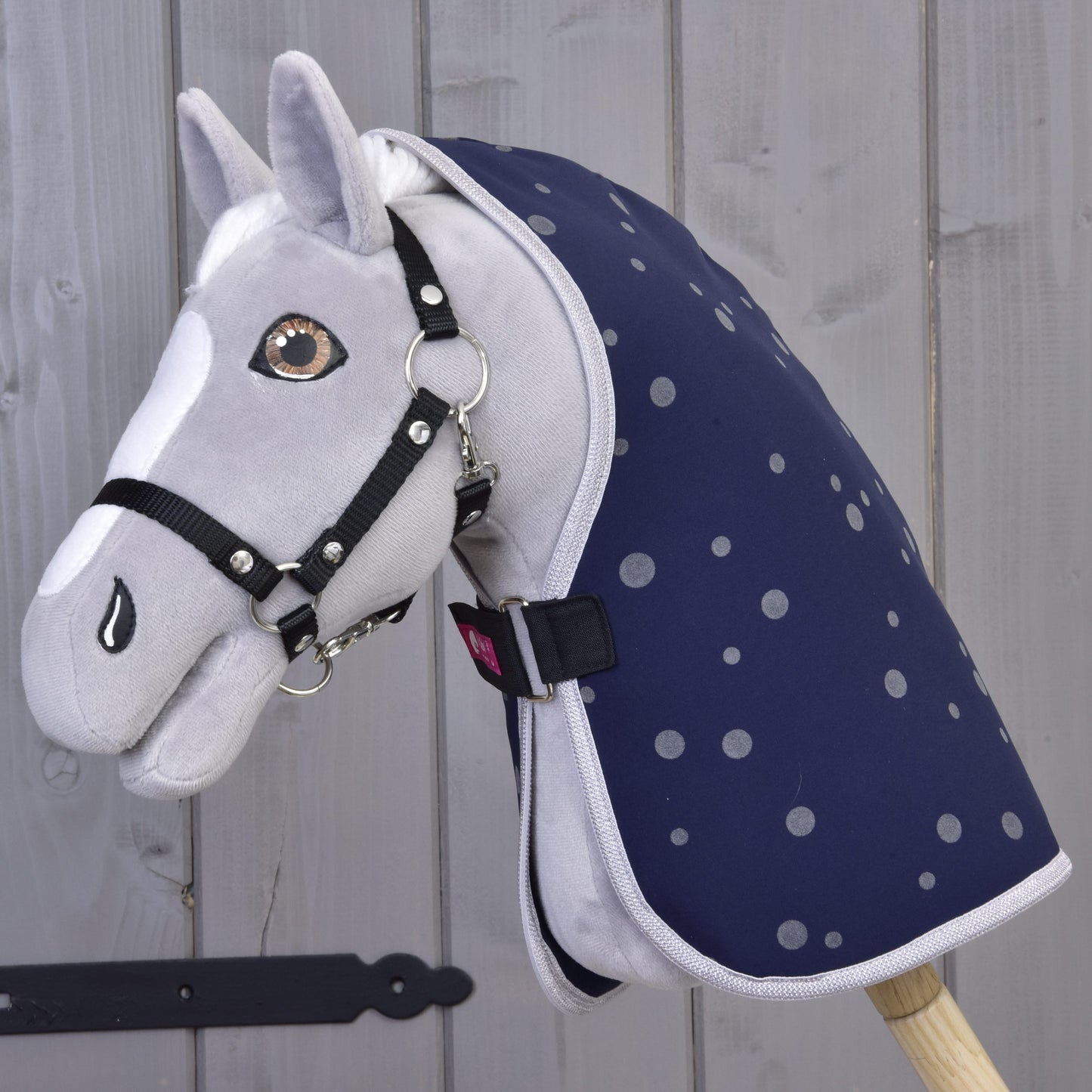 Stable blanket night sky 1