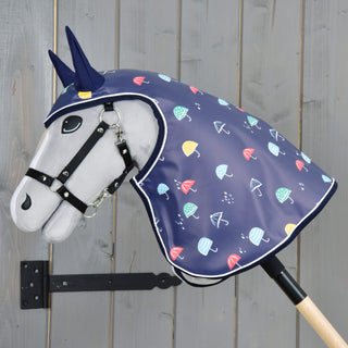 Raincoat Rainy